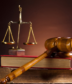 �ѵ�����������